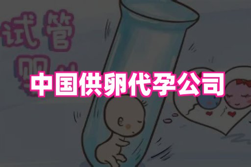南昌助孕网 1